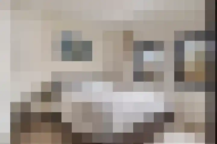 Heijbocht 6 Hulsel thumbnail 14