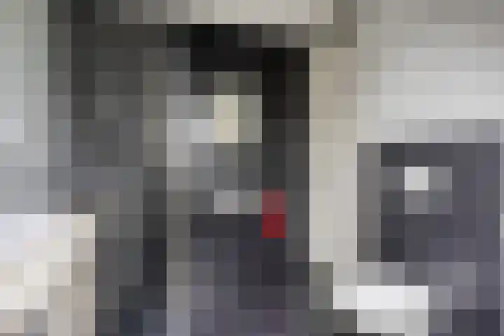 Heijbocht 6 Hulsel thumbnail 18