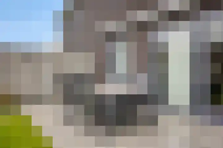 Heijbocht 6 Hulsel thumbnail 22