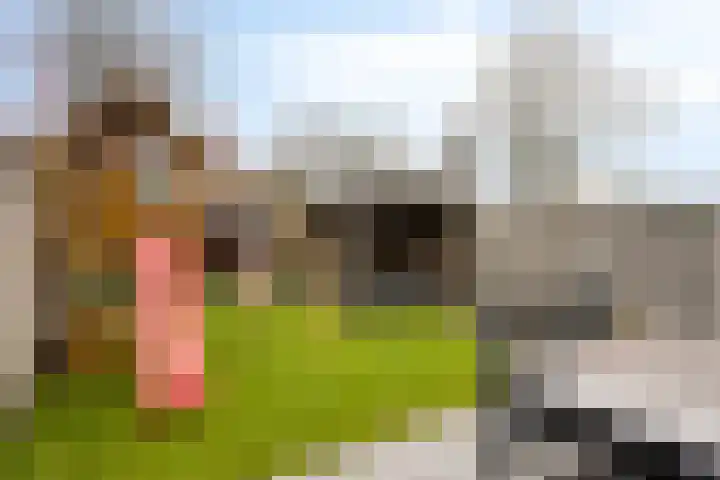 Heijbocht 6 Hulsel thumbnail 24