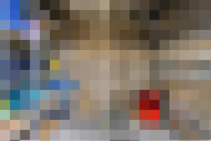 Heijbocht 6 Hulsel thumbnail 26