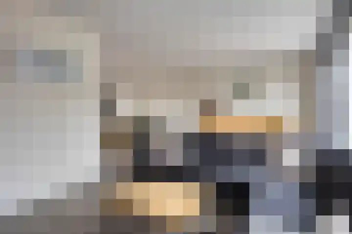 Heijbocht 6 Hulsel thumbnail 7