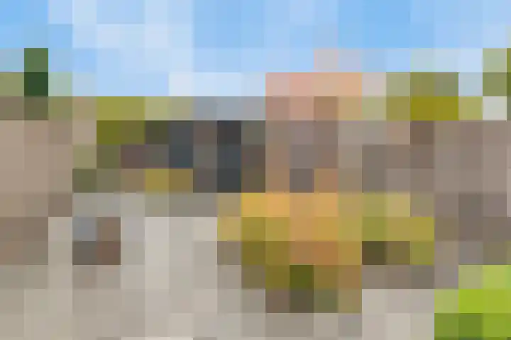 Heijcamp 15 Nuland thumbnail 12