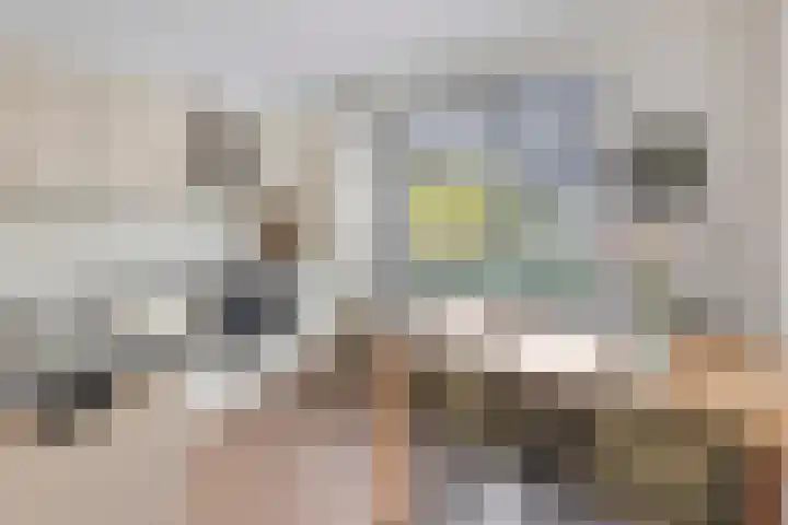 Heijcamp 15 Nuland thumbnail 7