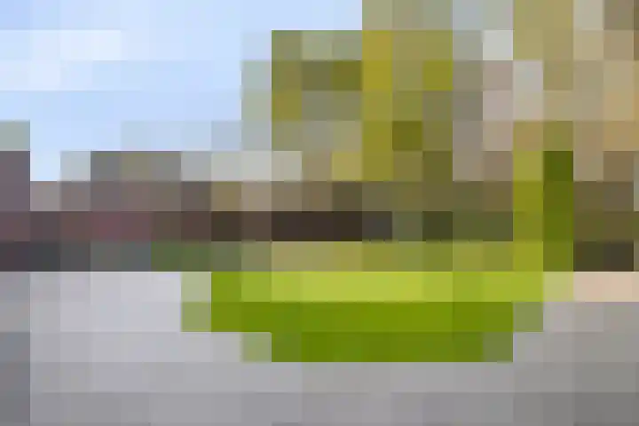 Heijcamp 42 Nuland thumbnail 36
