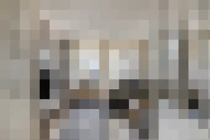 Heijcamp 42 Nuland thumbnail 9