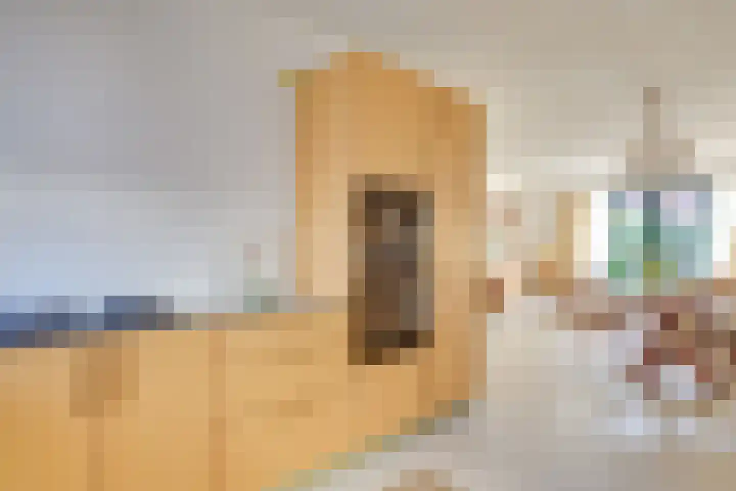 Heijdendonk 24 Helmond thumbnail 25