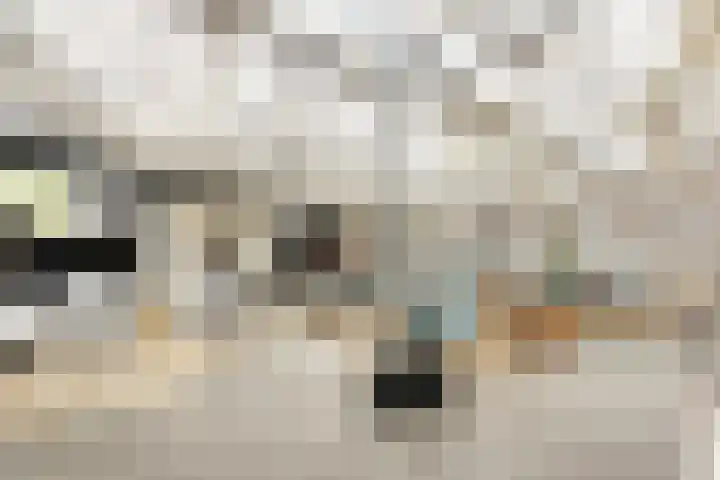 Heijdsepad 1 Monster thumbnail 12