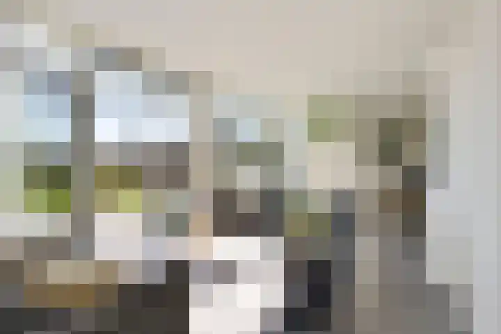 Heijdsepad 1 Monster thumbnail 6