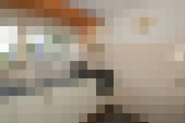 Heijen 5 Almelo thumbnail 12