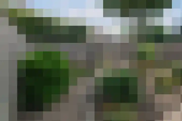 Heijen 5 Almelo thumbnail 22