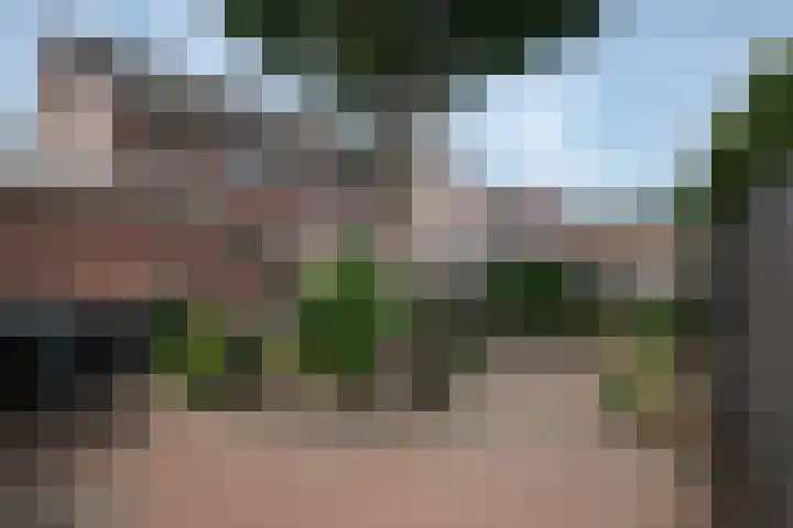 Heijen 5 Almelo thumbnail 24