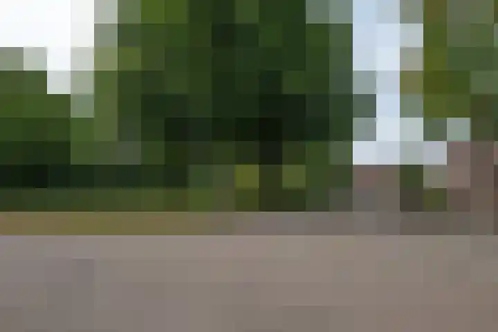Heijen 5 Almelo thumbnail 27