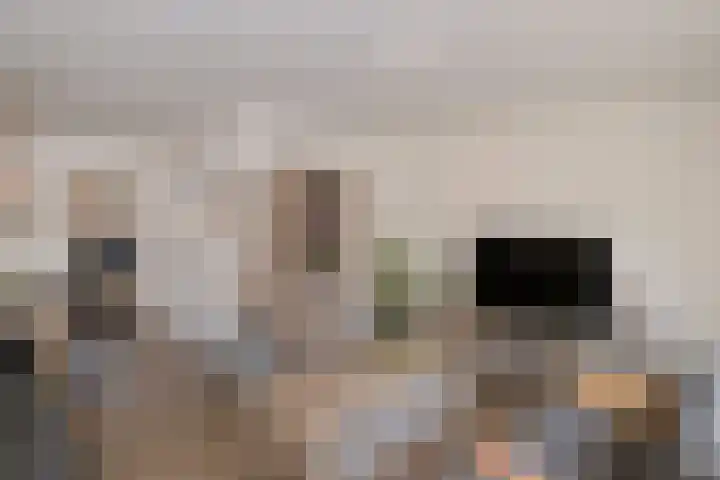 Heijen 5 Almelo thumbnail 6