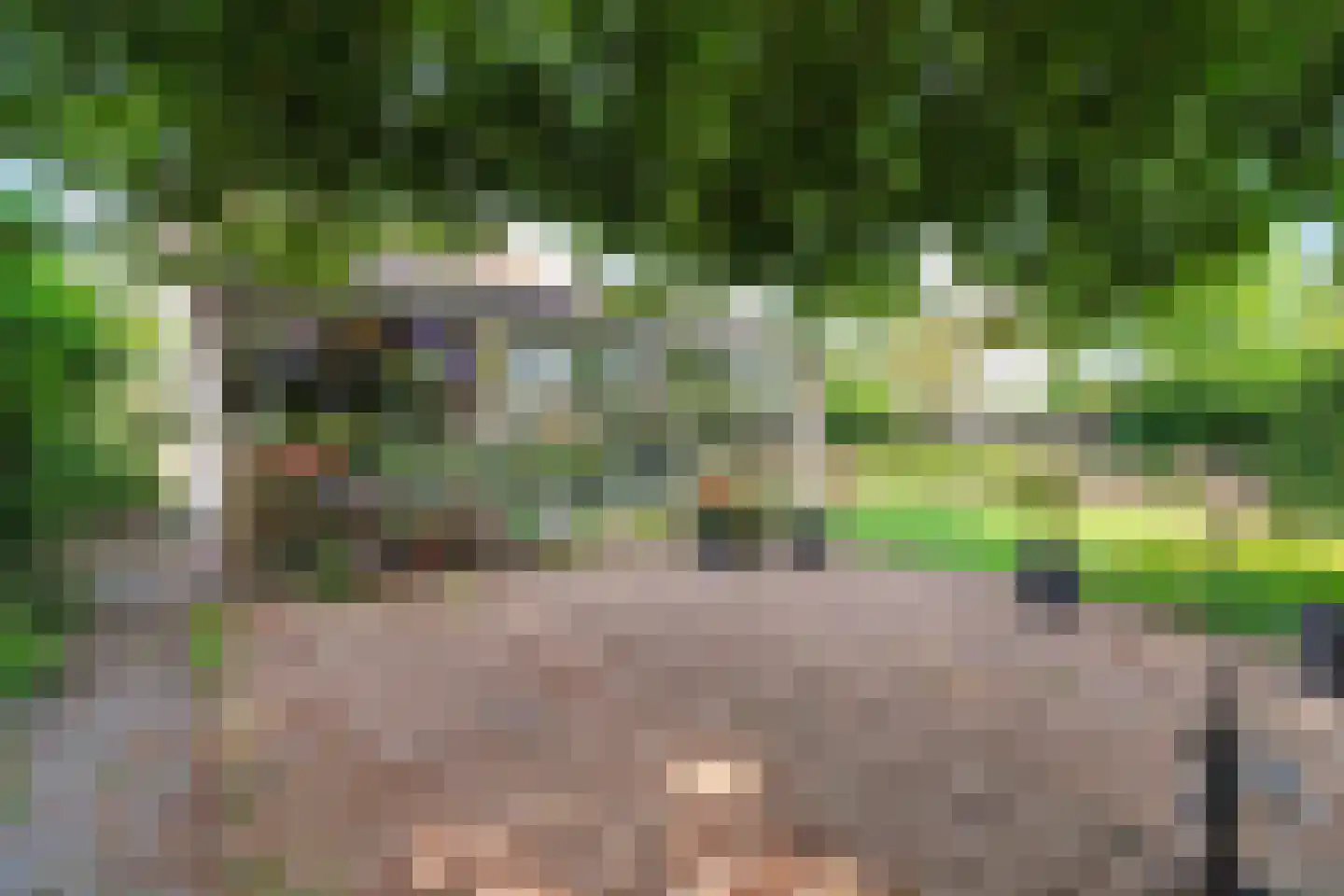 Heijenseweg 32 Gennep thumbnail 33