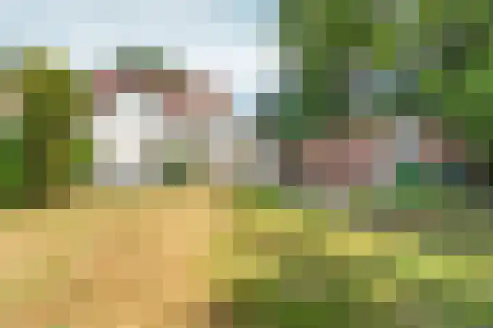 Heijenseweg 69 Gennep thumbnail 24