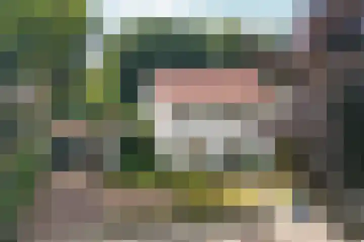 Heijenseweg 69 Gennep thumbnail 5