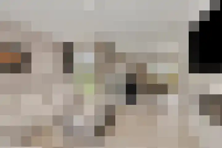 Heijinksweg 20 a Goor thumbnail 10