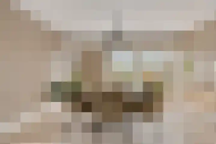 Heijinksweg 20 a Goor thumbnail 12