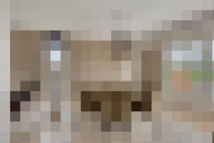 Heijinksweg 20 a Goor thumbnail 13