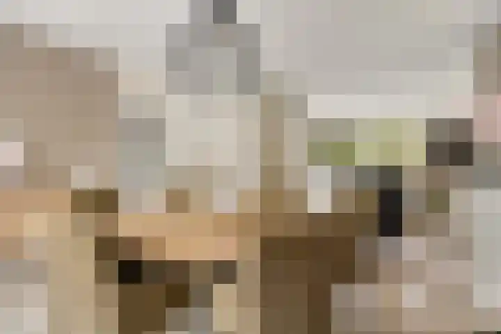 Heijinksweg 20 a Goor thumbnail 15