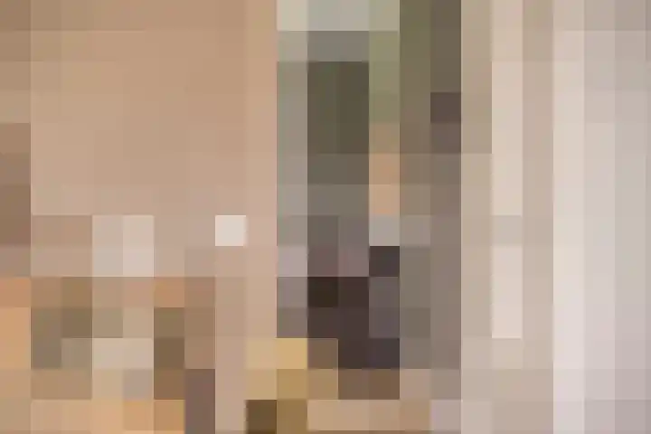 Heijinksweg 20 a Goor thumbnail 16
