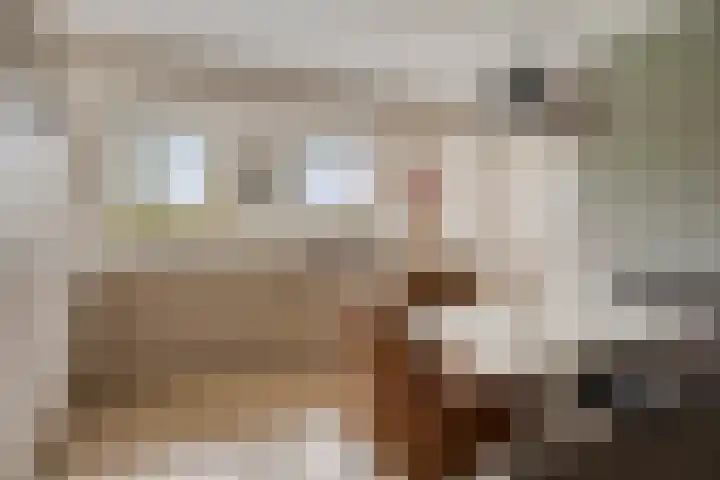 Heijinksweg 20 a Goor thumbnail 17