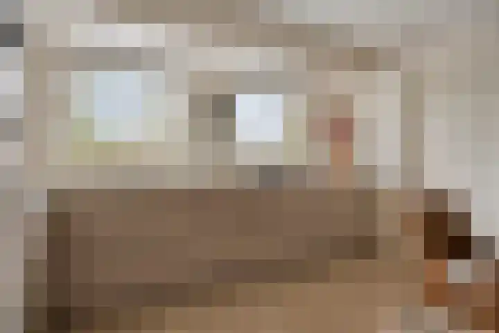 Heijinksweg 20 a Goor thumbnail 19