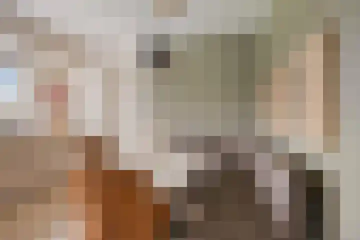 Heijinksweg 20 a Goor thumbnail 21