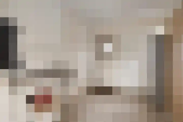Heijinksweg 20 a Goor thumbnail 24
