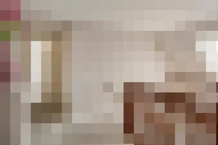 Heijinksweg 20 a Goor thumbnail 29