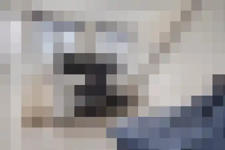 Heijinksweg 20 a Goor thumbnail 40