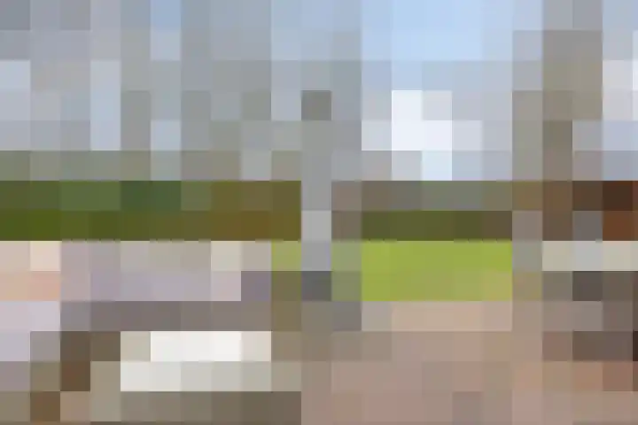 Heijinksweg 20 a Goor thumbnail 45