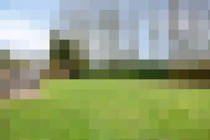 Heijinksweg 20 a Goor thumbnail 46