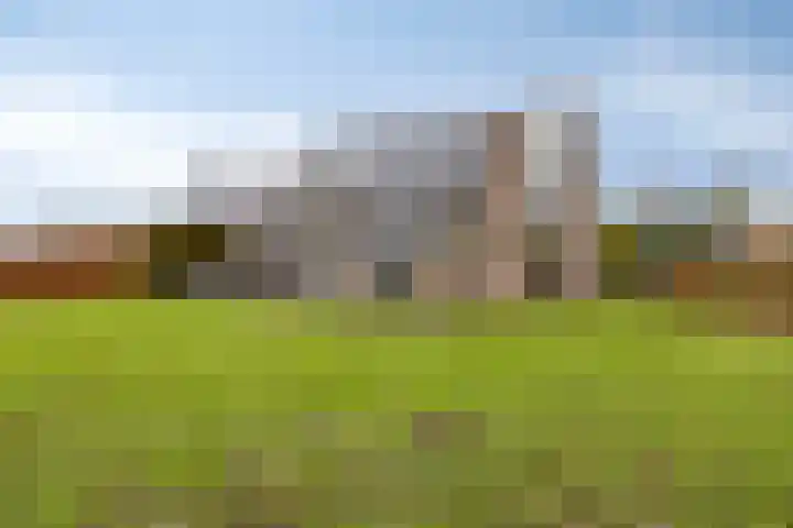 Heijinksweg 20 a Goor thumbnail 49