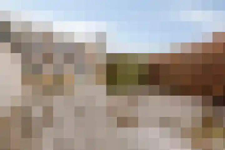 Heijinksweg 20 a Goor thumbnail 5