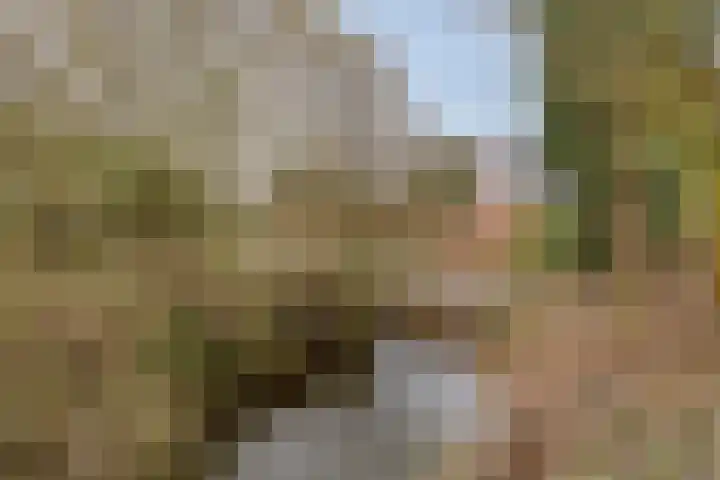 Heijinksweg 20 a Goor thumbnail 52