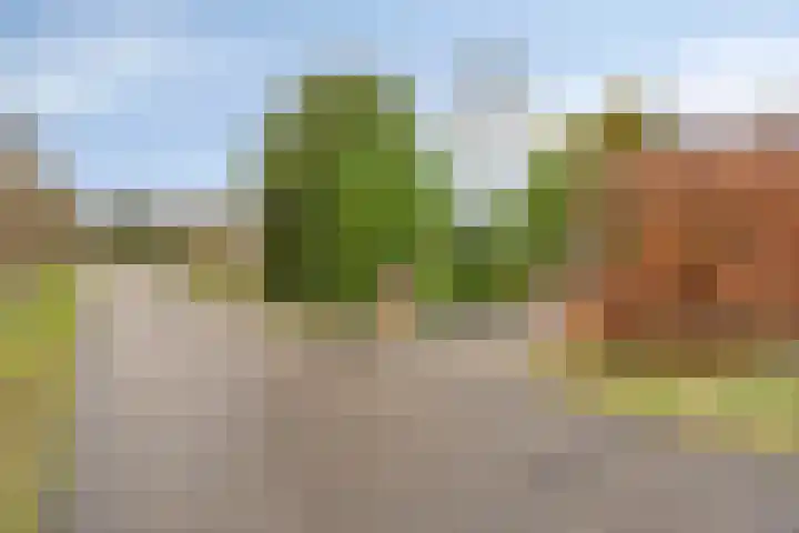 Heijinksweg 20 a Goor thumbnail 53