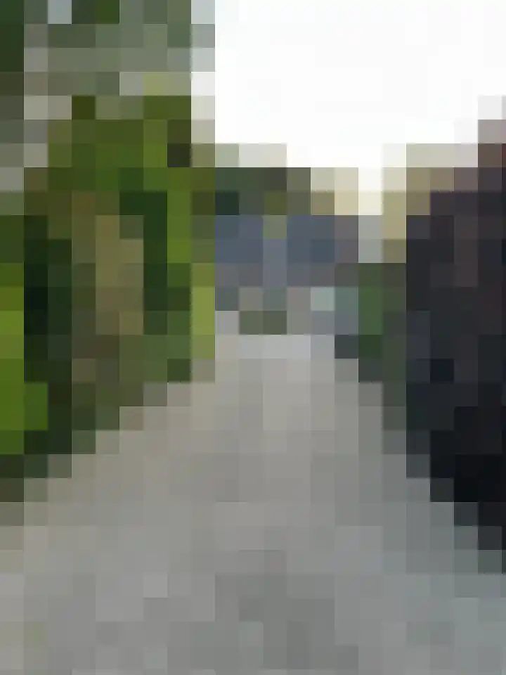 Heijinksweg 20 a Goor thumbnail 55