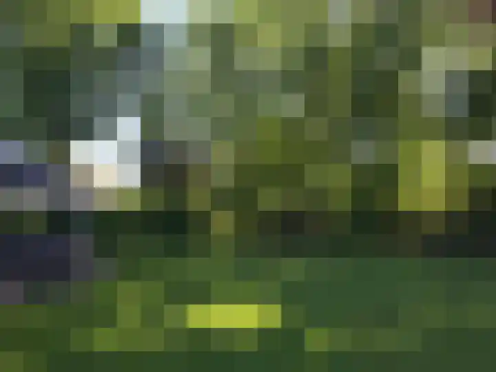 Heijinksweg 20 a Goor thumbnail 56