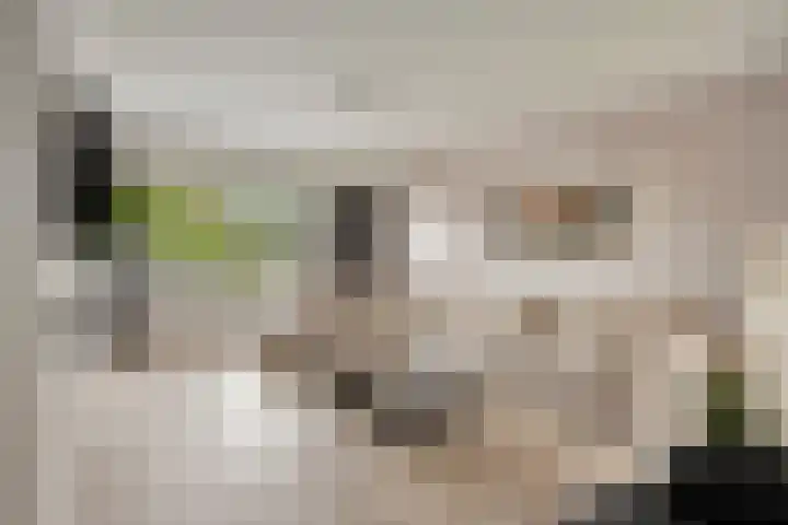 Heijinksweg 20 a Goor thumbnail 7