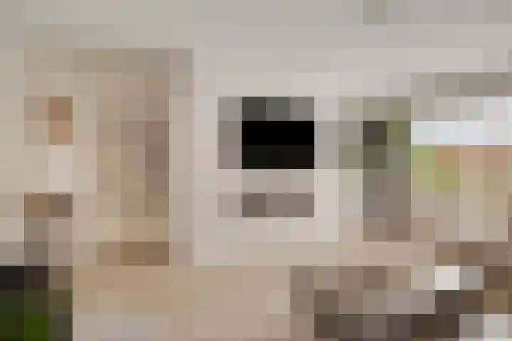 Heijinksweg 20 a Goor thumbnail 8