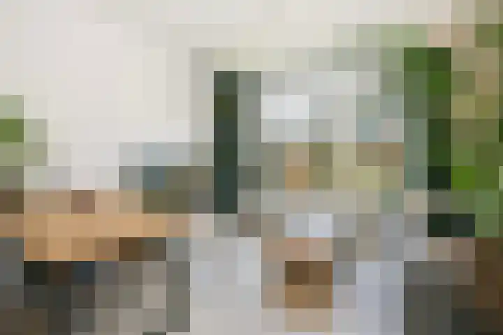 Heijtsveld 186 Gemert thumbnail 13