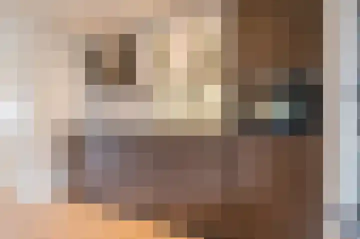 Heijtsveld 186 Gemert thumbnail 15