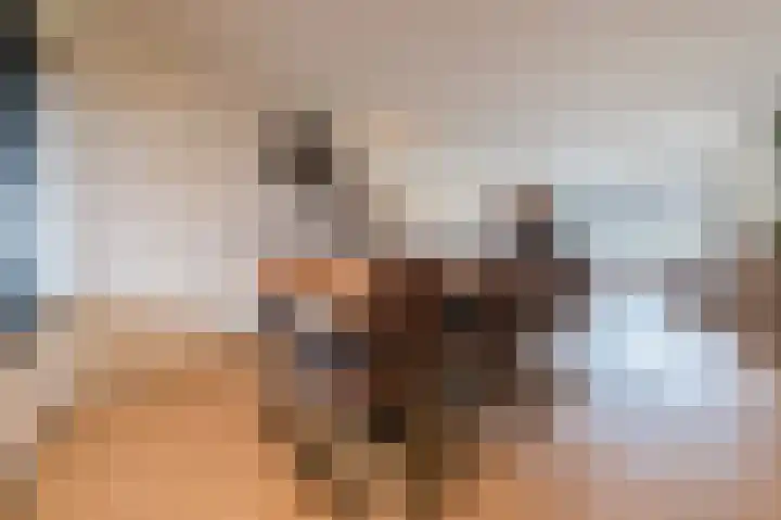 Heijtsveld 186 Gemert thumbnail 16