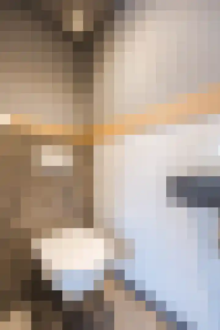 Heijtsveld 186 Gemert thumbnail 18
