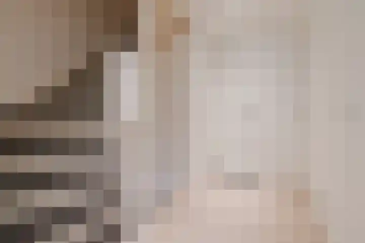 Heijtsveld 186 Gemert thumbnail 19