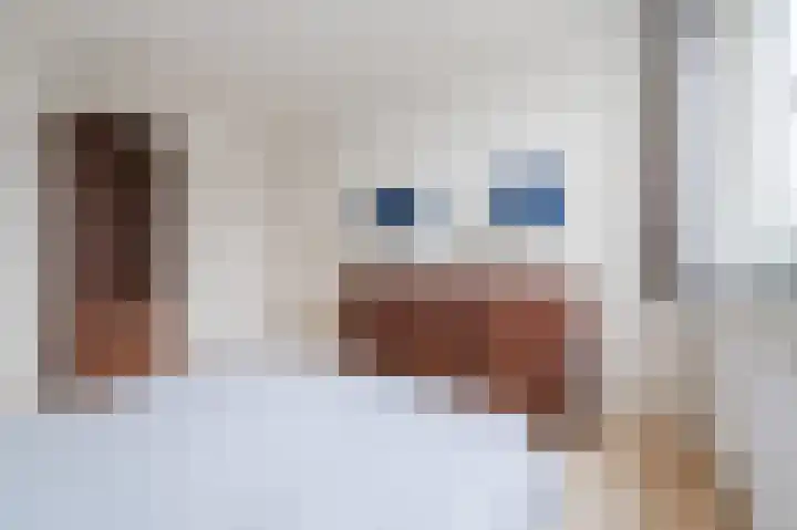 Heijtsveld 186 Gemert thumbnail 23