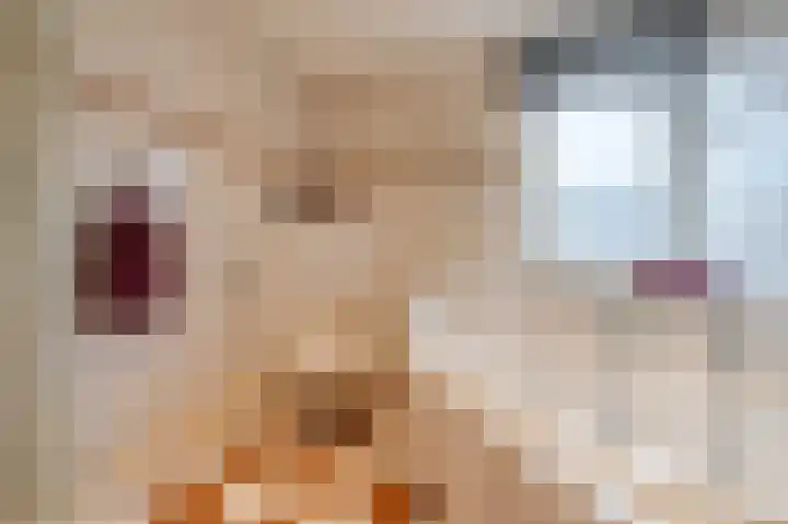 Heijtsveld 186 Gemert thumbnail 31