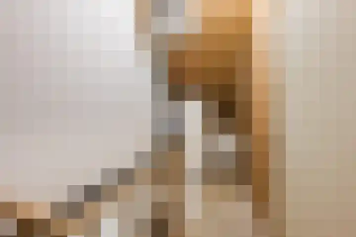 Heijtsveld 186 Gemert thumbnail 32